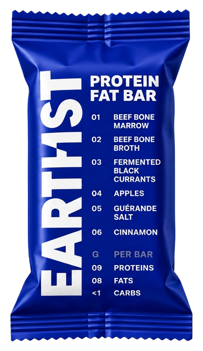 EARTHIST ORIGINAL protein-fat bar
